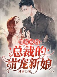 錯嫁成婚:總裁的私寵甜妻秦舒褚臨沉