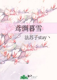 鸢绸暮雪
