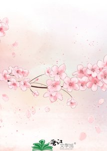 某横滨的御坂42号