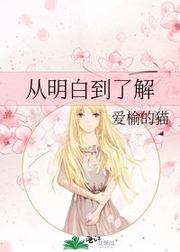 从明白到了解